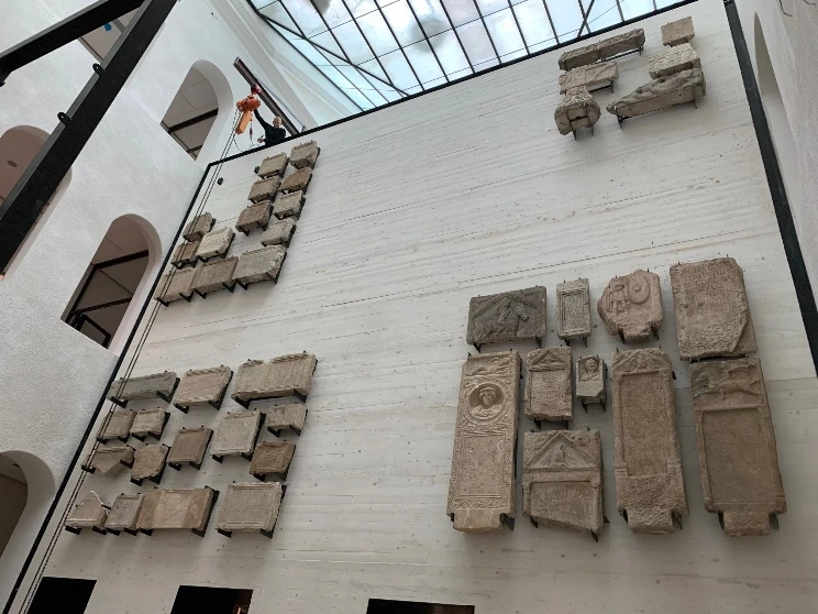 Atrium mit Buchstützenwand und Glasdach